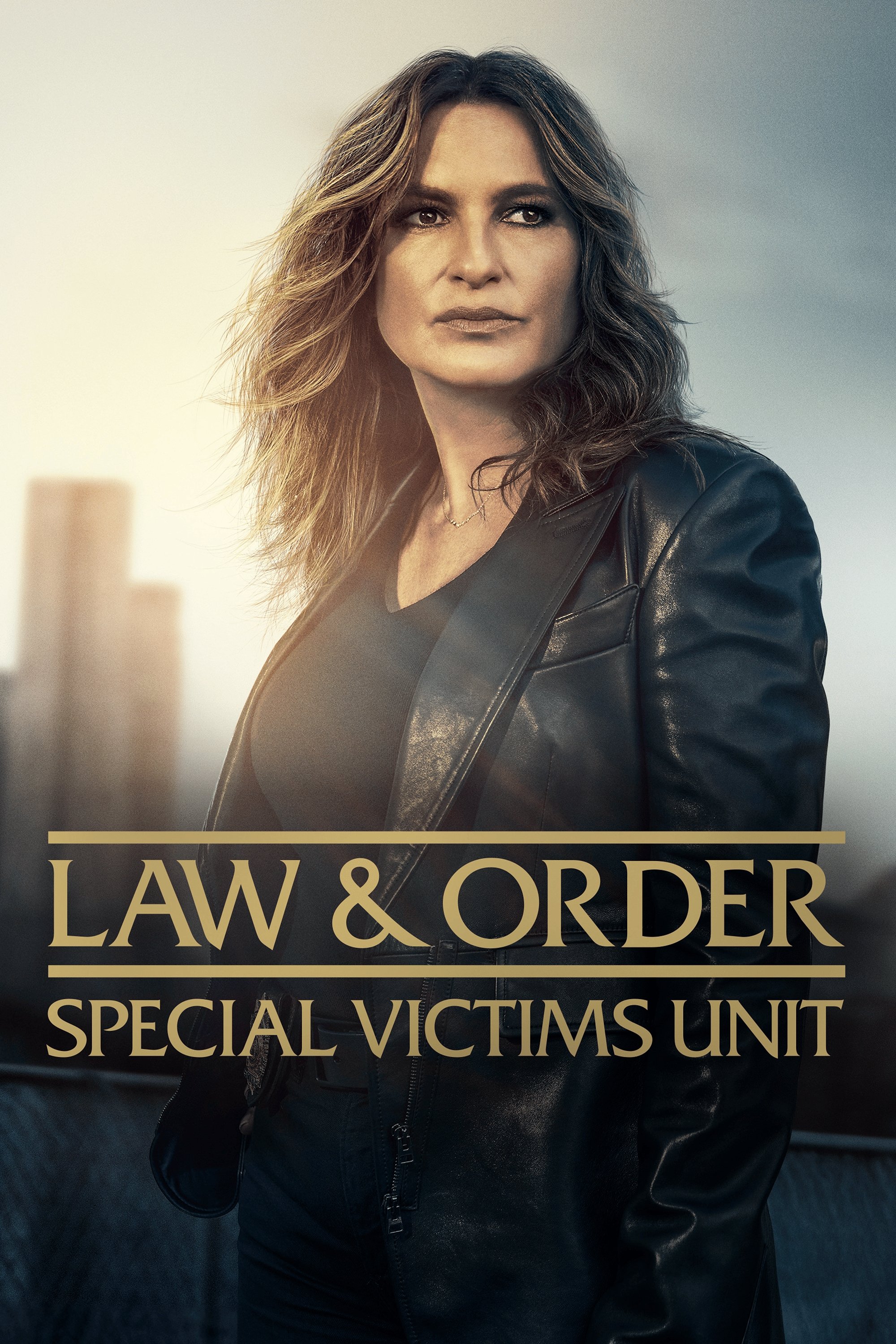 Law &amp; Order Special Victims Unit [238902] (A1617374110) [[TV Shows]] --Plex--